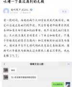 卢雷元年是什么意思？卢雷元年事件前因后果