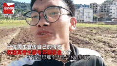 招生减章是什么梗