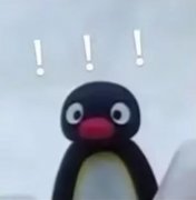nootnoot什么意思？nootnoot企鹅表情包
