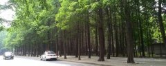 女追男真的很容易吗？网友真实故事来了！