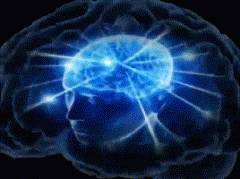 头脑风暴是什么意思？头脑风暴bgm叫什么名字？表情包gif