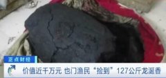 抹香鲸的排泄物为什么那么贵？抹香鲸粪便在哪里可以捡到