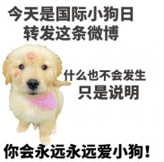 国际小狗节的由来，狗狗节日的意义