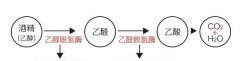 抹酒精退烧有没有用？酒精物理降温的正确方法
