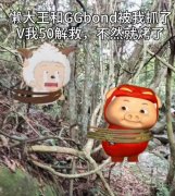 GGBOND是什么意思？猪猪侠为什么叫ggbond