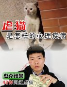 杰克辣条哪里人、个人资料简介，虐猫的人都是什么心理？