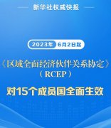 分析：RCEP是以什么为主导的区域经济