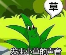 我屮艸芔茻什么意思？怎么读？文化人的怼人语录