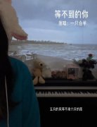 五月的风等不来六月的雨什么意思？