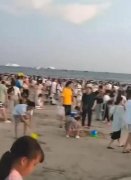 广西北海咬人鱼是什么鱼，极可能是紫红笛鲷或者爪哇裸胸鳝