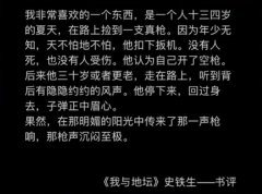 子弹正中眉心什么意思？出自史铁生小说《我与地坛》的一段书评