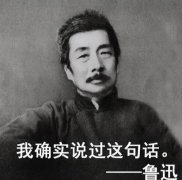 我确实说过这句话是鲁迅的什么书，出自哪里？表情包来了！