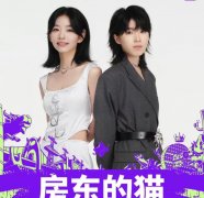 孟慧圆为啥叫房东的猫？是搞错了！