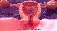 姨妈血是不是废血？女人经血的组成成份介绍