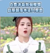冰箱有碗是奔跑吧哪一期？