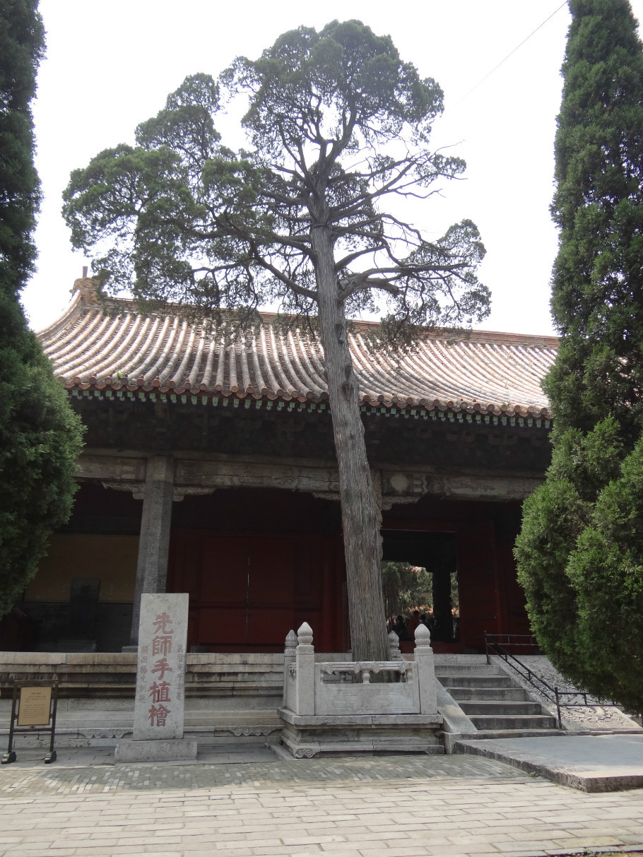 山东曲阜孔庙（照片张） - zhaoyuan0622 - 我的博客