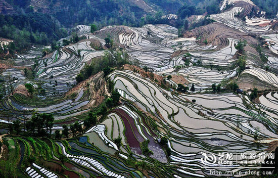 一月最适合旅行的地方 冬季才不是淡季