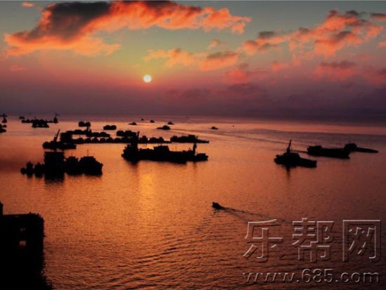吐血整理！史上最全鄱阳湖观鸟攻略！
