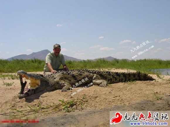 从鳄鱼肚子里的解剖出来的碎尸体(组图，慎入)