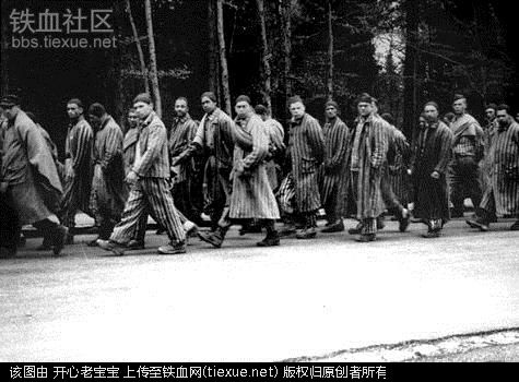 二战集中营惨烈黑镜头:纳粹血腥屠杀犹太人(组图)