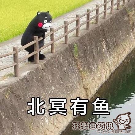 北冥有鱼其名为鲲原来是形容什么的？北冥有鱼其名为鲲被网友恶搞图