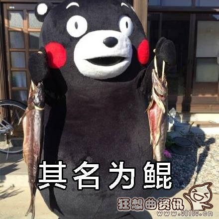 北冥有鱼其名为鲲原来是形容什么的？北冥有鱼其名为鲲被网友恶搞图