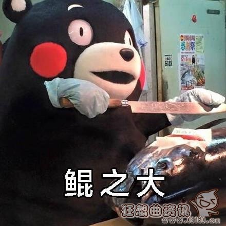 北冥有鱼其名为鲲原来是形容什么的？北冥有鱼其名为鲲被网友恶搞图