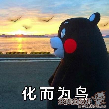 北冥有鱼其名为鲲原来是形容什么的？北冥有鱼其名为鲲被网友恶搞图