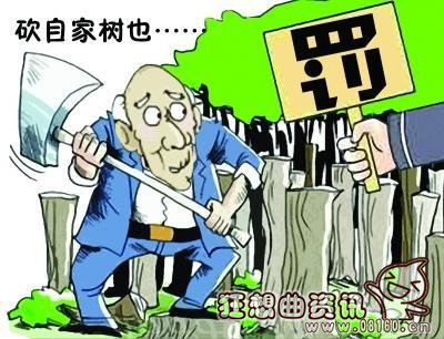 盗伐林木罪最新量刑标准，盗伐林木罪与滥伐林木罪有什么区别