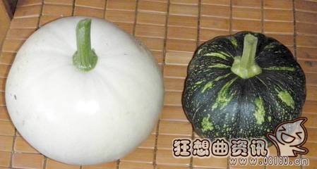 北瓜和南瓜有什么区别，南瓜与北瓜的区别图片合集