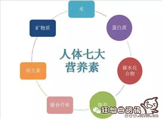 老人不吃饭仅喝水坚持多久，只喝水可以补充身体所需要的物质吗