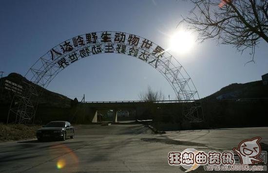 老虎伤者下车竟是因为晕车？老虎伤人事件后续什么情况了