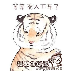 老虎伤者下车竟是因为晕车？老虎伤人事件后续什么情况了