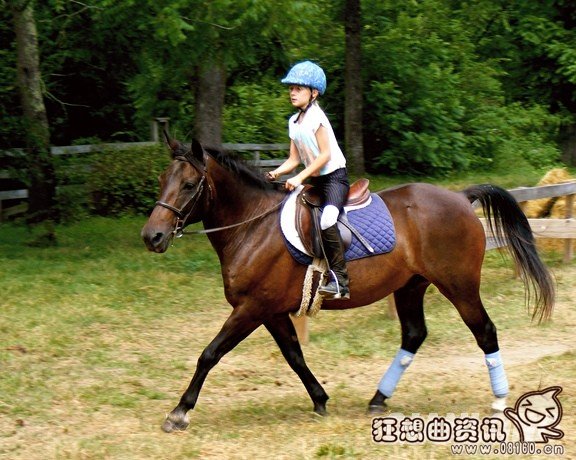 孩子几岁开始学马术比较好，学马术有哪些好处