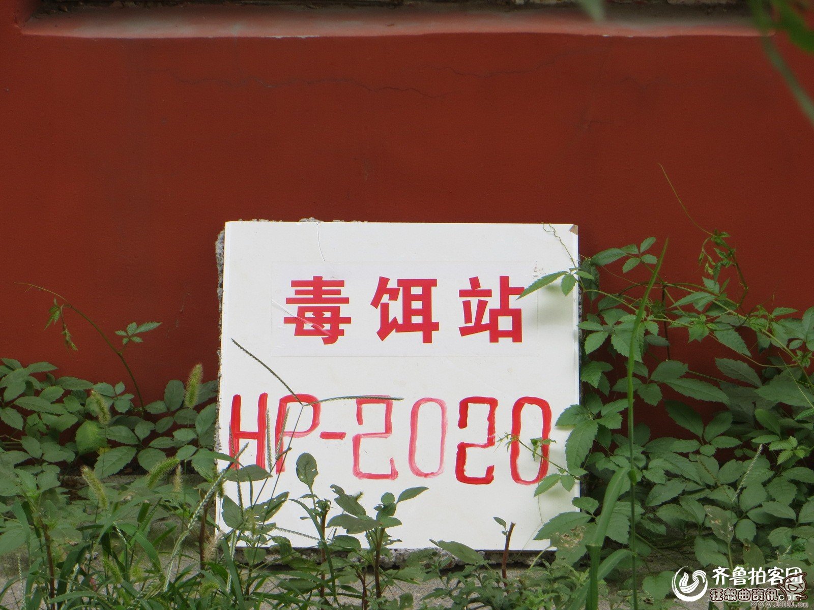 灭老鼠毒饵站示意图，毒饵站的设置标准是怎样的
