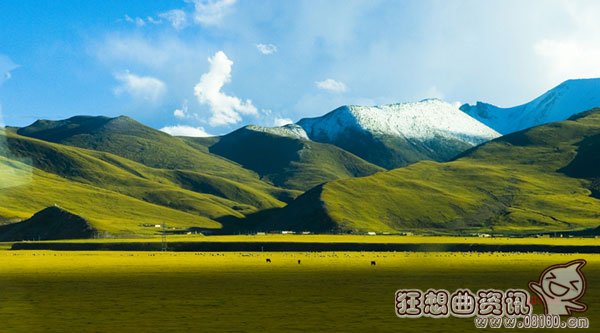 世界最高最年轻的高原在哪里，揭秘青藏高原形成的时间