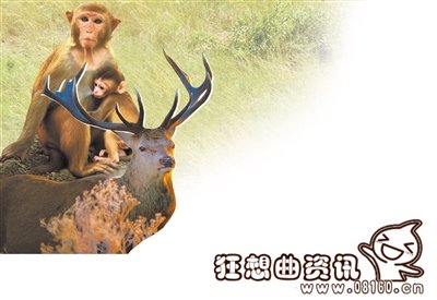 兰州野生动物园最新规划图，兰州野生动物园详细地址在哪