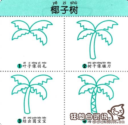 椰子树种类主要有哪些，椰子树有什么样的用途