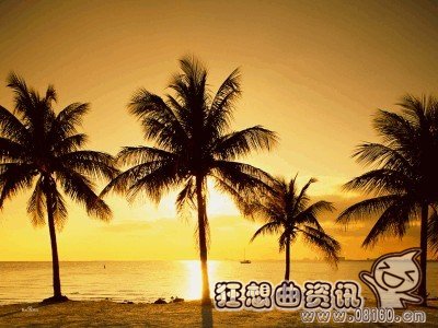 椰子树种类主要有哪些，椰子树有什么样的用途