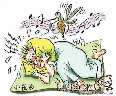 蚊子最怕闻到什么味道，有效驱除蚊子的方法都有哪些