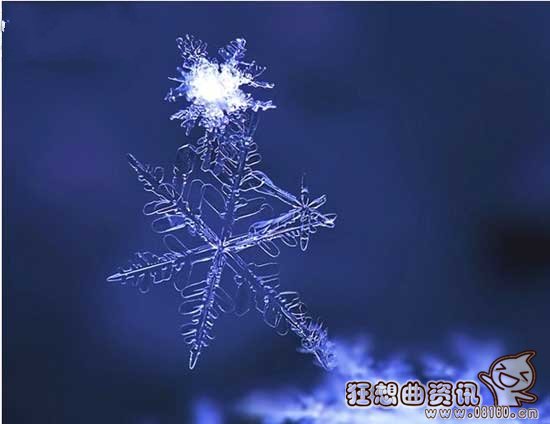 冬至喝羊肉汤习俗介绍，盘点全国各地不同的冬至习俗