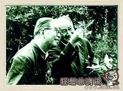 中国最杰出的抒情诗人是谁，最杰出的抒情诗人冯至资料简介