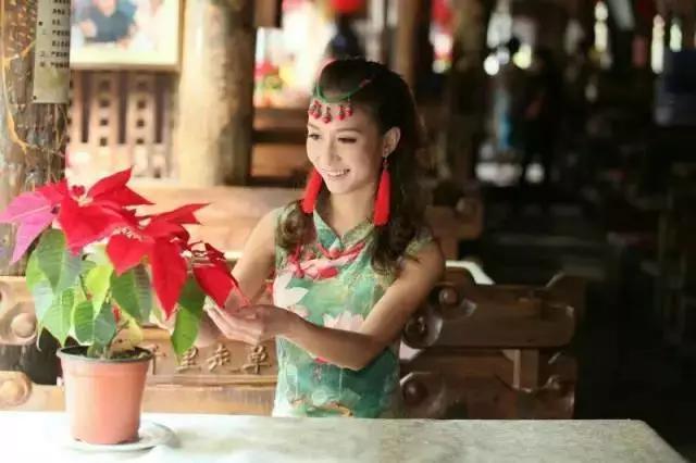 为什么大家都去大理丽江？居然是为了客栈老板娘！
