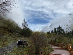 四姑娘山为什么危险会死人，其幺妹峰登山难度超珠峰