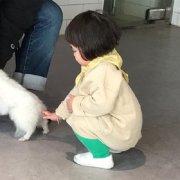 狗会让你摸他的尾巴吗，狗身上那些部位不能随便摸？