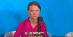 how dare you是什么梗,how dare you表情包来了