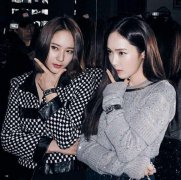 亲姐俩郑秀妍郑秀晶谁更漂亮，在娱乐圈的地位谁更红？