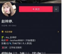抖音gtr是什么梗，说网红赵梓婷GTR什么梗