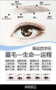 运势眉真的可以改变运势吗，运势眉跟普通眉有什么区别