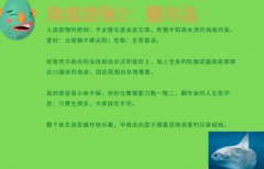 翻车鱼残忍的死法是真的吗，它们会被吓死很容易死吗？